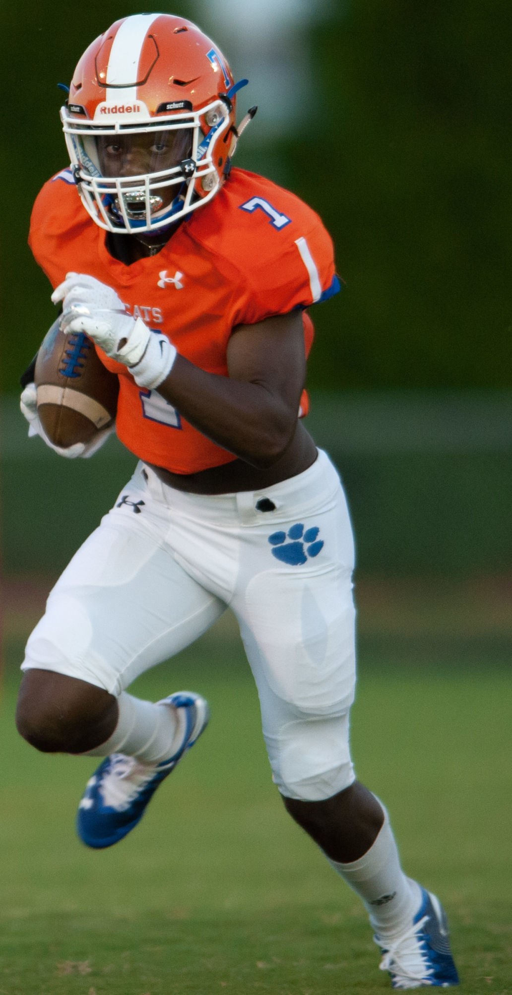 Glenn Parkland Football
